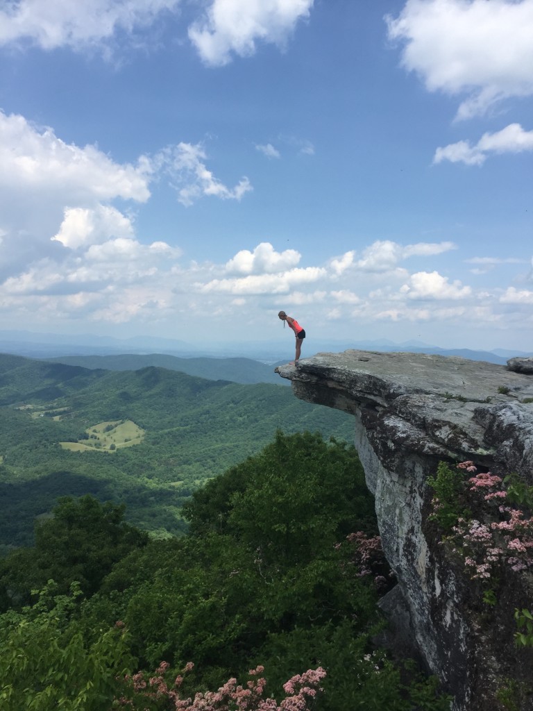 AT Update 13 Catawba, VA to Daleville, VA Homemade Wanderlust